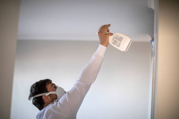 Best Water Damage Restoration  in Inverness, CO